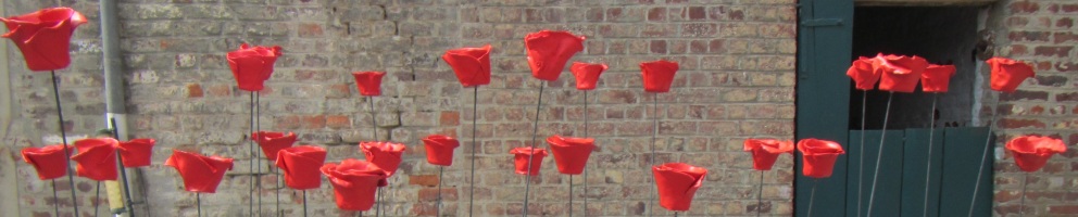 Poppies for Peace